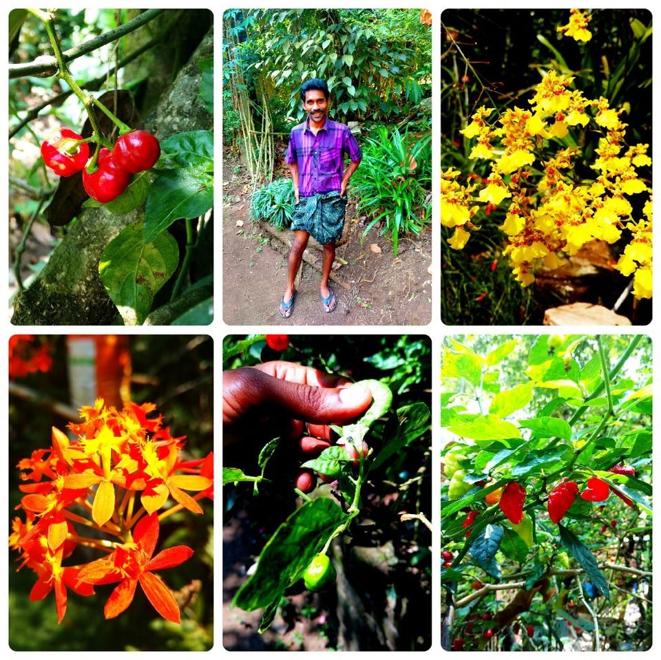 Photo of Thekkady, Kerala, India by Sudipto & Snigdha