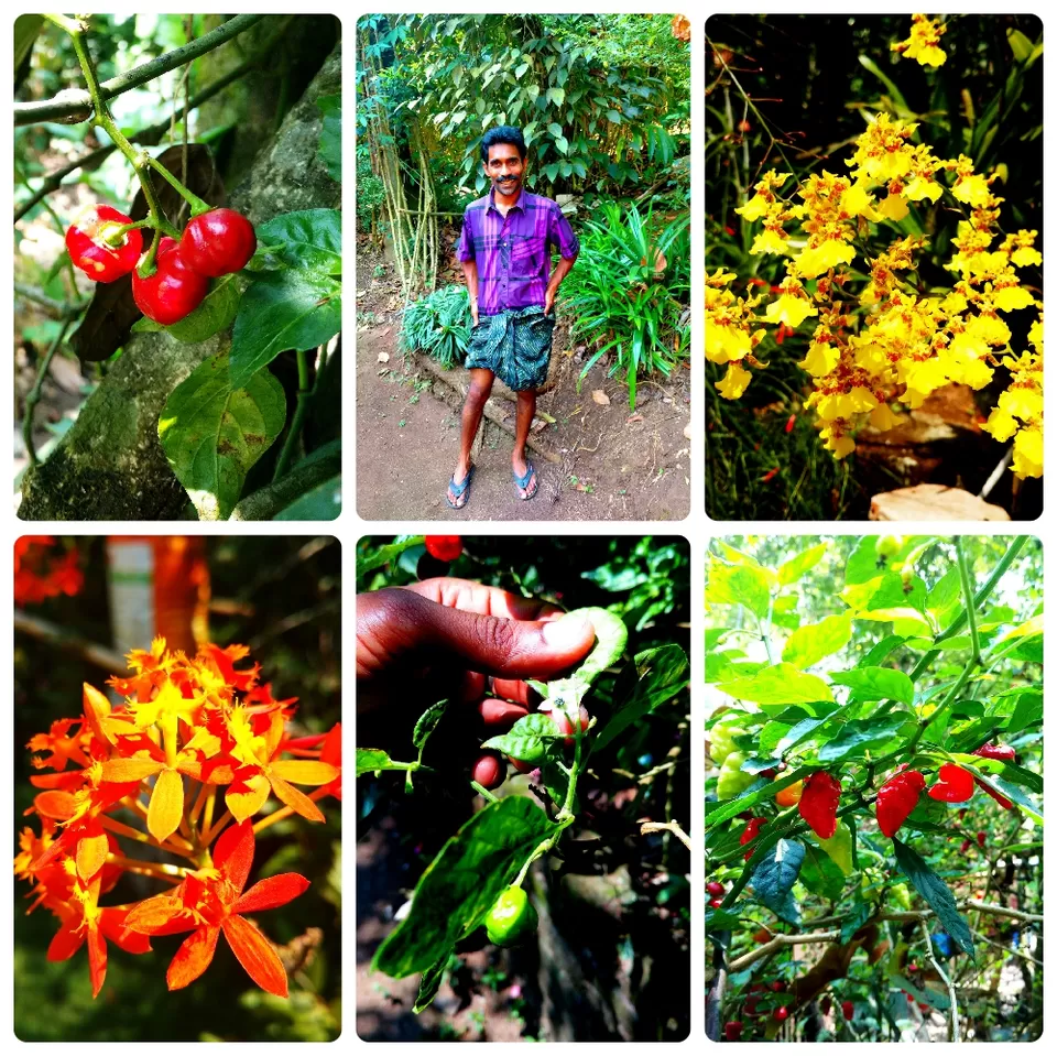 Photo of Thekkady, Kerala, India by Sudipto & Snigdha