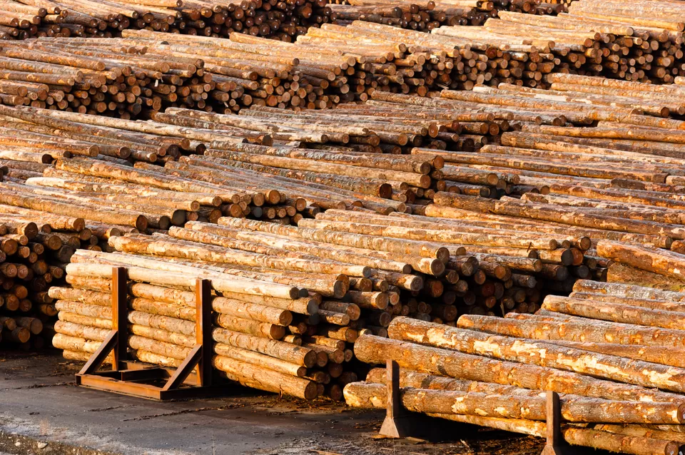Photo of Choosing the Right Houston Fence Supplies for Your Property by Tracy Meyers