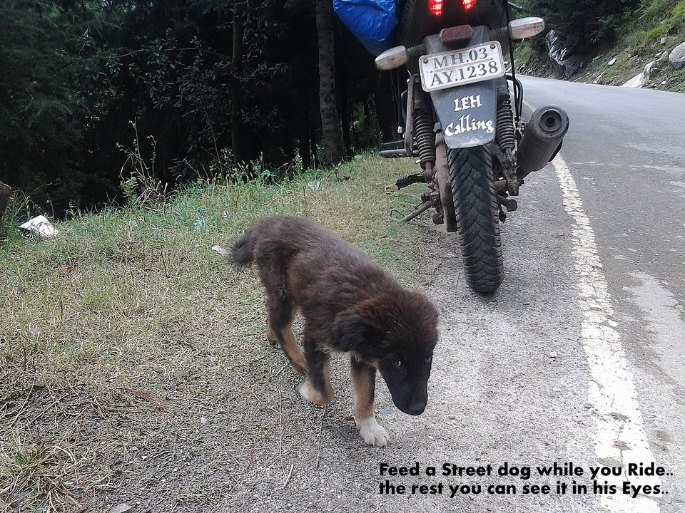 Photo of SOLO RIDE: 6500 km+ 23 places 30 days by Shailesh Yadav