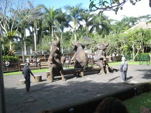 Photo of Denpasar, Bali, Indonesia by Ruchika Makhija