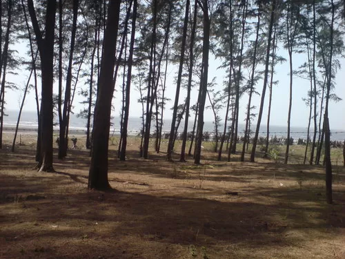 Photo of Daman, Daman and Diu, India by Ruchika Makhija