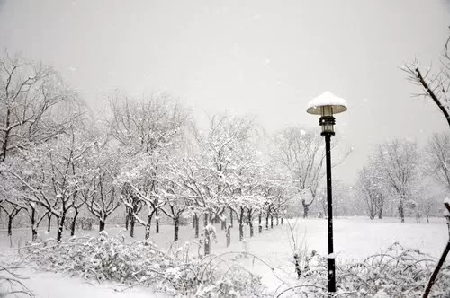 Photo of Tangshan, Hebei, China by Ruchika Makhija