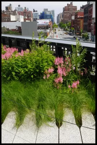 Photo of High line, Chelsea, New York, NY, United States by Ruchika Makhija