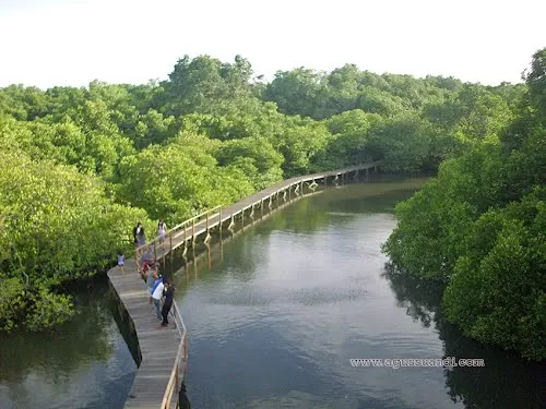 Photo of Elephant Safari Park, Denpasar, Bali, Indonesia by Ruchika Makhija