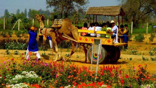 top-5-picnic-spots-near-delhi-for-perfect-weekends-in-2019-tripoto