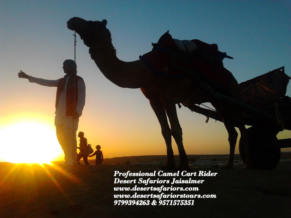 Photo of NEW YEAR AT JAISALMER 2/11 by Desertsafariors