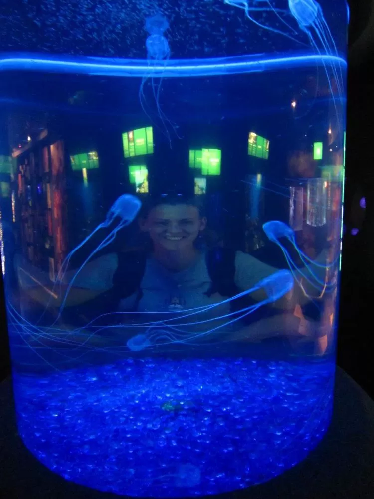 Photo of Two Oceans Aquarium by Carola