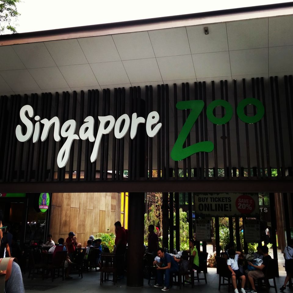 Photo of Singapore Zoo Singapore by Shantanu Trailokya