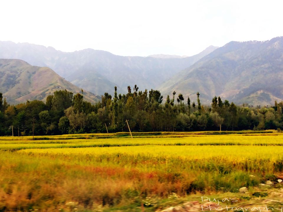 Photo of An epic enthralling road trip to Leh Ladakh 22/49 by Puja Solanki
