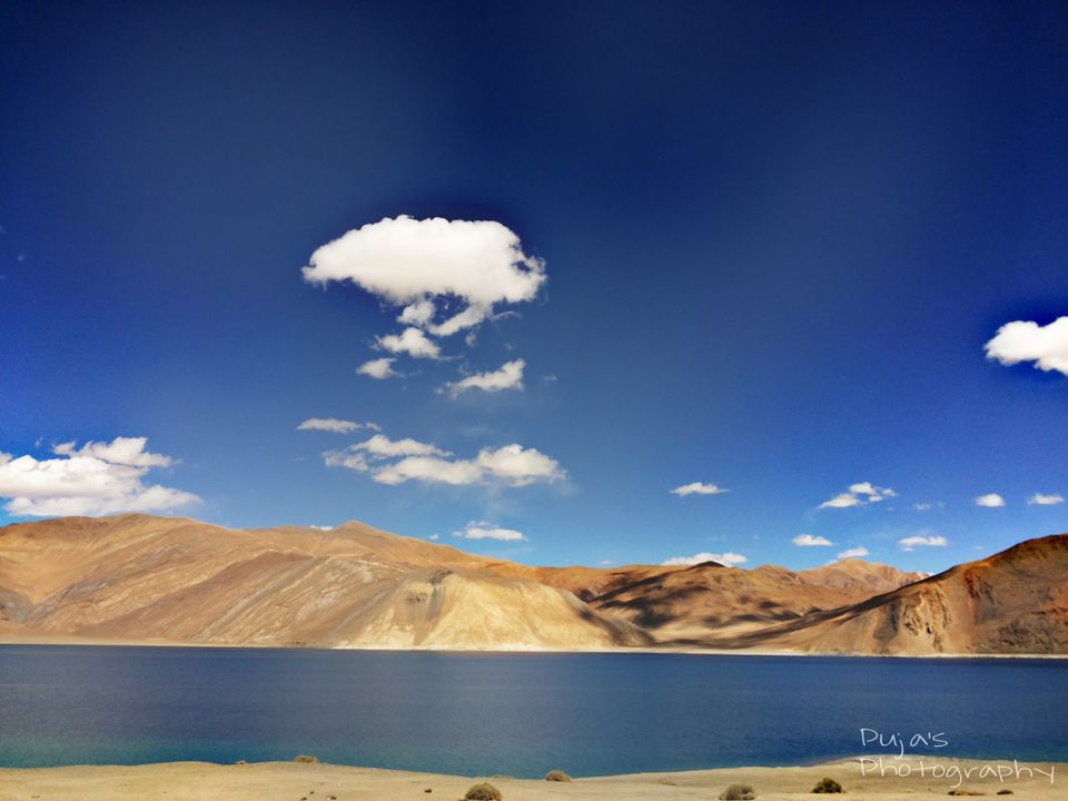 Photo of An epic enthralling road trip to Leh Ladakh 29/49 by Puja Solanki