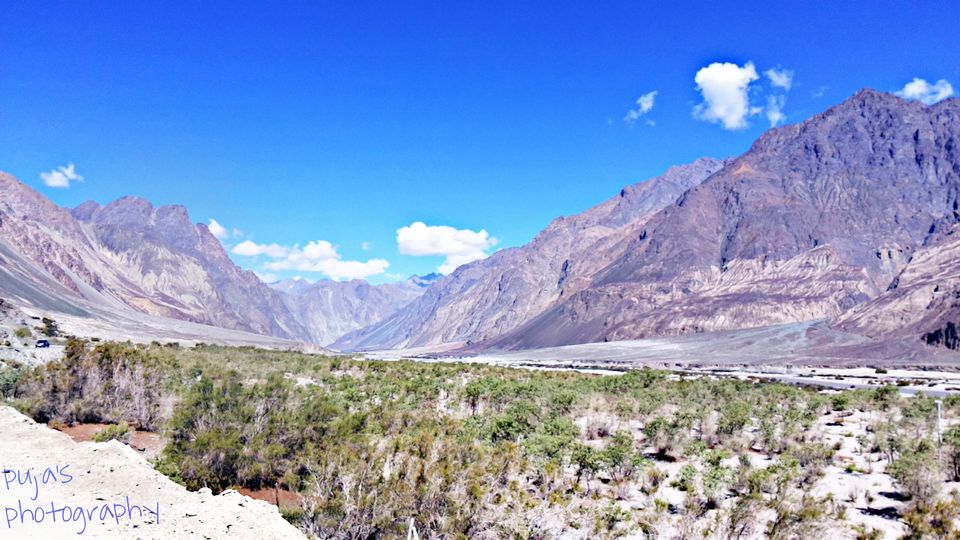 Photo of An epic enthralling road trip to Leh Ladakh 31/49 by Puja Solanki