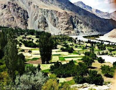 Photo of An epic enthralling road trip to Leh Ladakh 38/49 by Puja Solanki
