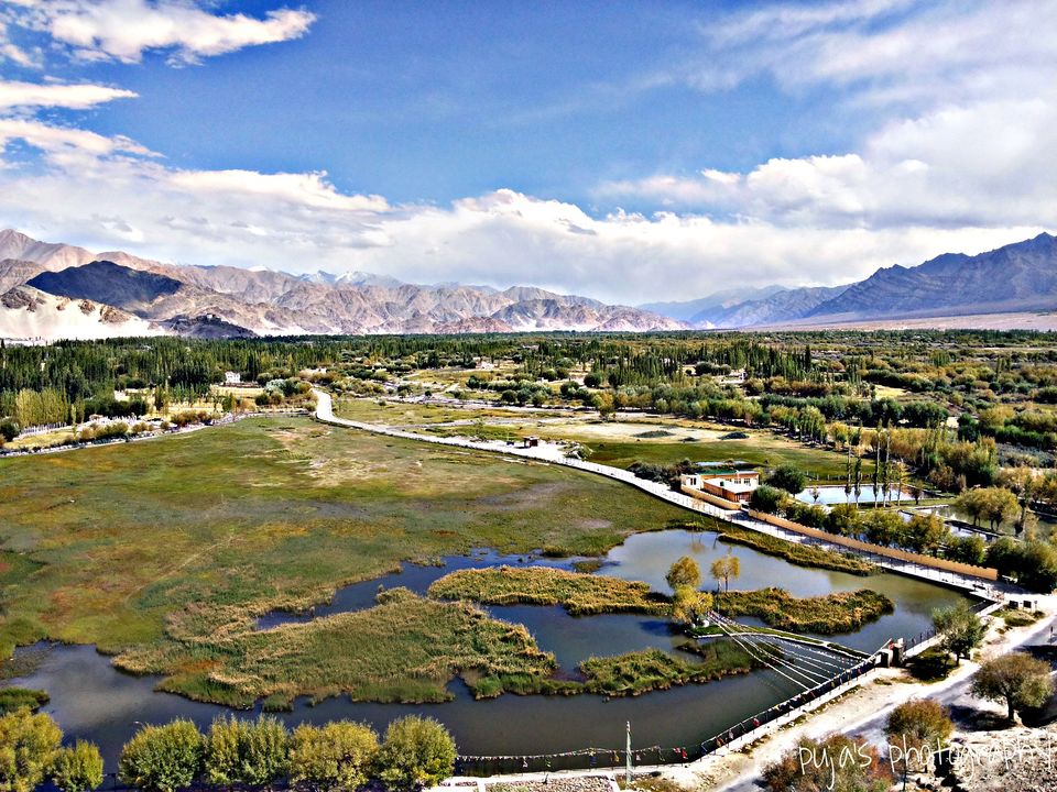 Photo of An epic enthralling road trip to Leh Ladakh 46/49 by Puja Solanki