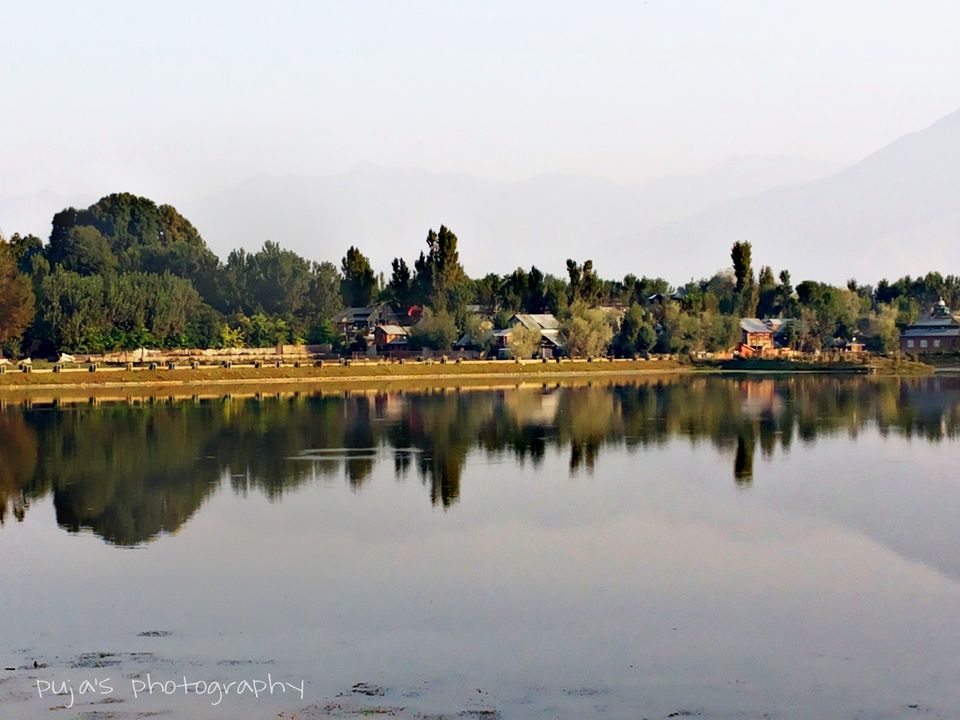 Photo of An epic enthralling road trip to Leh Ladakh 49/49 by Puja Solanki
