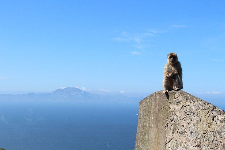 Photo of 13 Days Spain Road Trip: Day-wise Itinerary - A Lawyer's Voyage by Khyati Thaker @ A Lawyer's Voyage