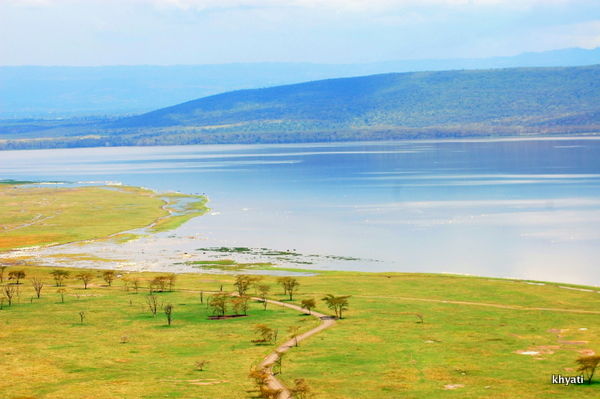 Photo of How An African Safari Trip Changed My Travel Bucket List! 11/12 by Khyati Thaker @ A Lawyer's Voyage