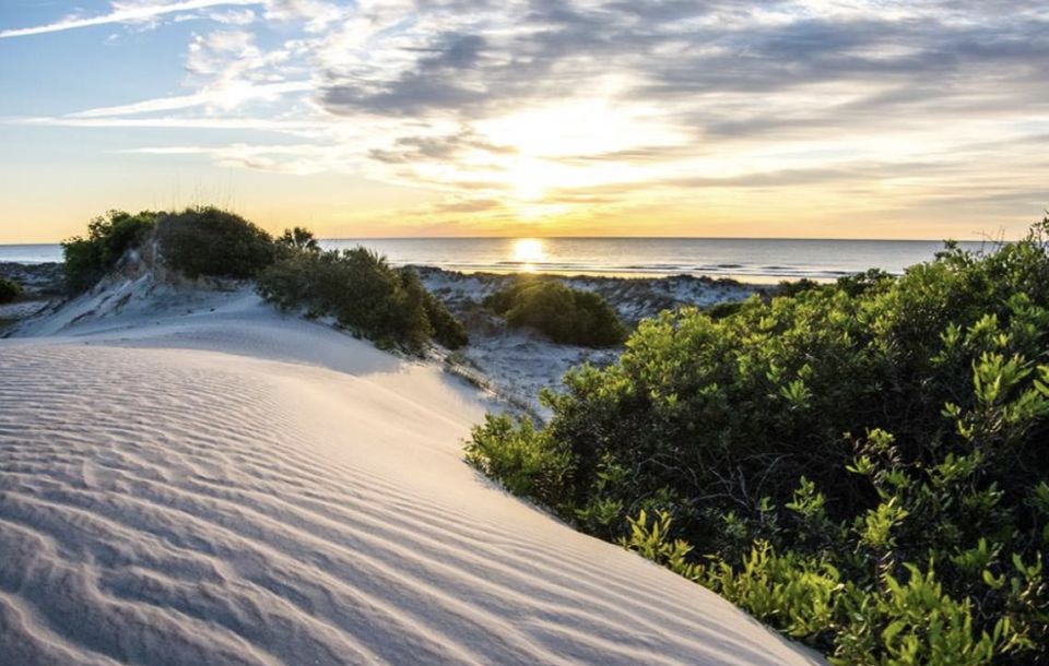 Photo of Cumberland Island, Georgia, USA by Khyati Thaker @ A Lawyer's Voyage