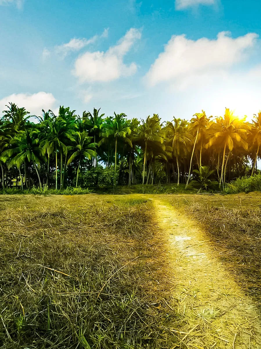Photo of Divar Island, Goa Guide - How to reach, Where to Stay, What to do by Khyati Thaker @ A Lawyer's Voyage