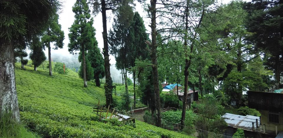 Photo of Solo Travel: Queen of hills, Darjeeling 1/8 by Sandeep Gantait