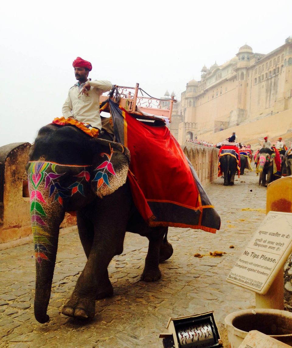 Photo of Journey Amidst The Forts 2/8 by Asha Bharati
