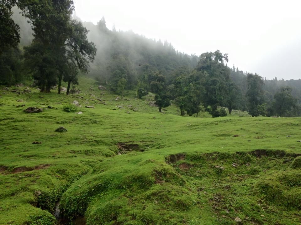 Photo of Chopta- Heaven in the Mountains 20/21 by Asha Bharati