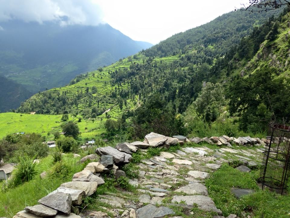 Photo of Chopta- Heaven in the Mountains 15/21 by Asha Bharati