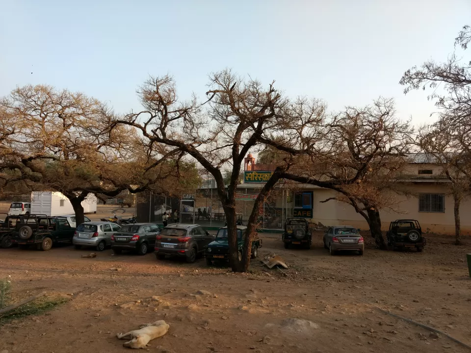 Photo of Tijara, Rajasthan, India by Nirbhay Kumar Singh