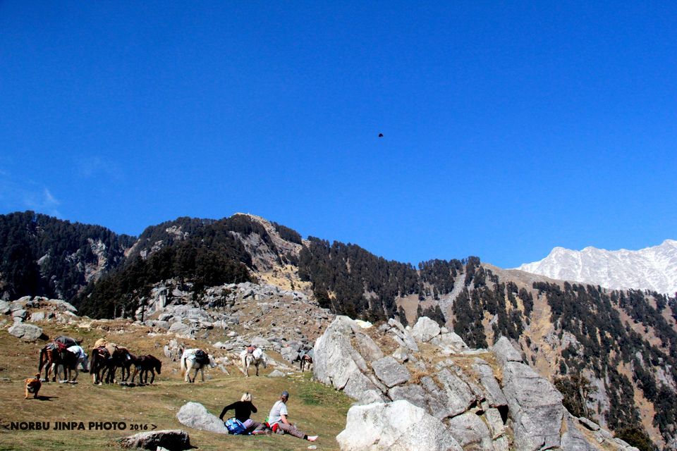 Photo of Mountains Calling – Triund 4/16 by Norbu Jinpa