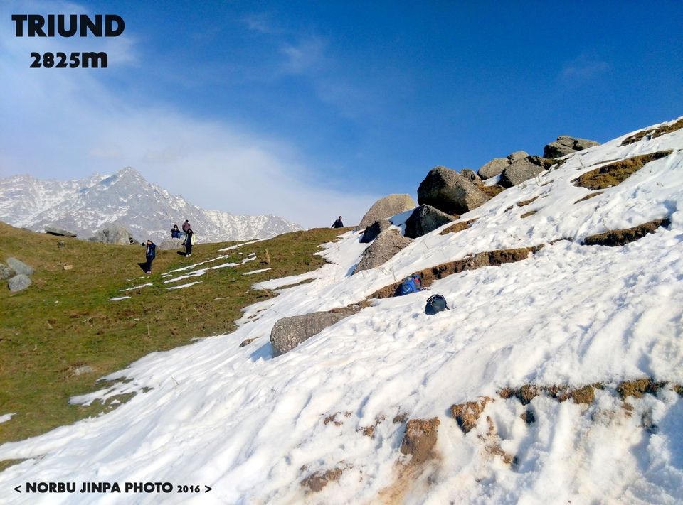 Photo of Mountains Calling – Triund 6/16 by Norbu Jinpa