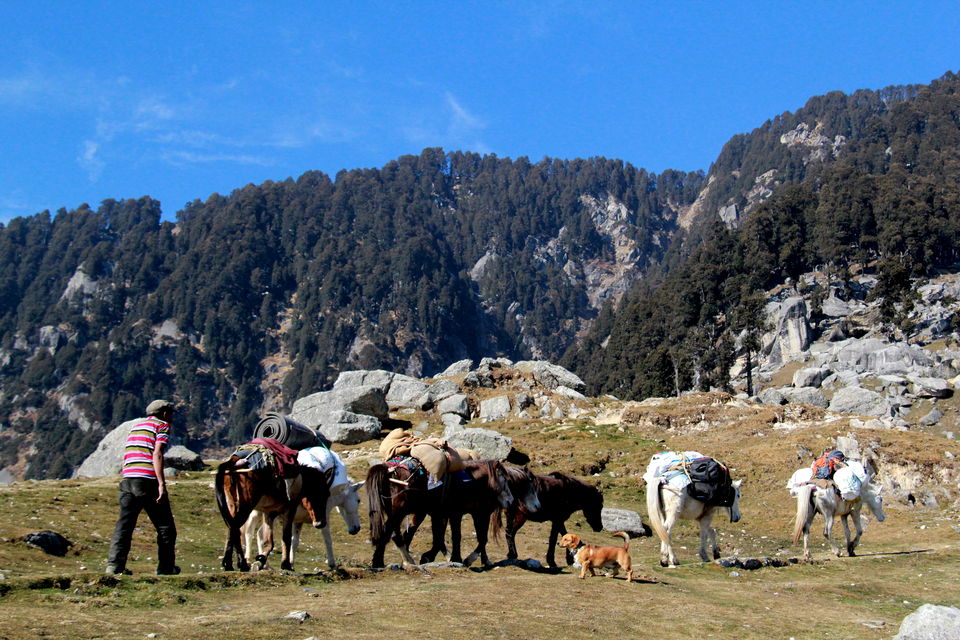 Photo of Mountains Calling – Triund 9/16 by Norbu Jinpa