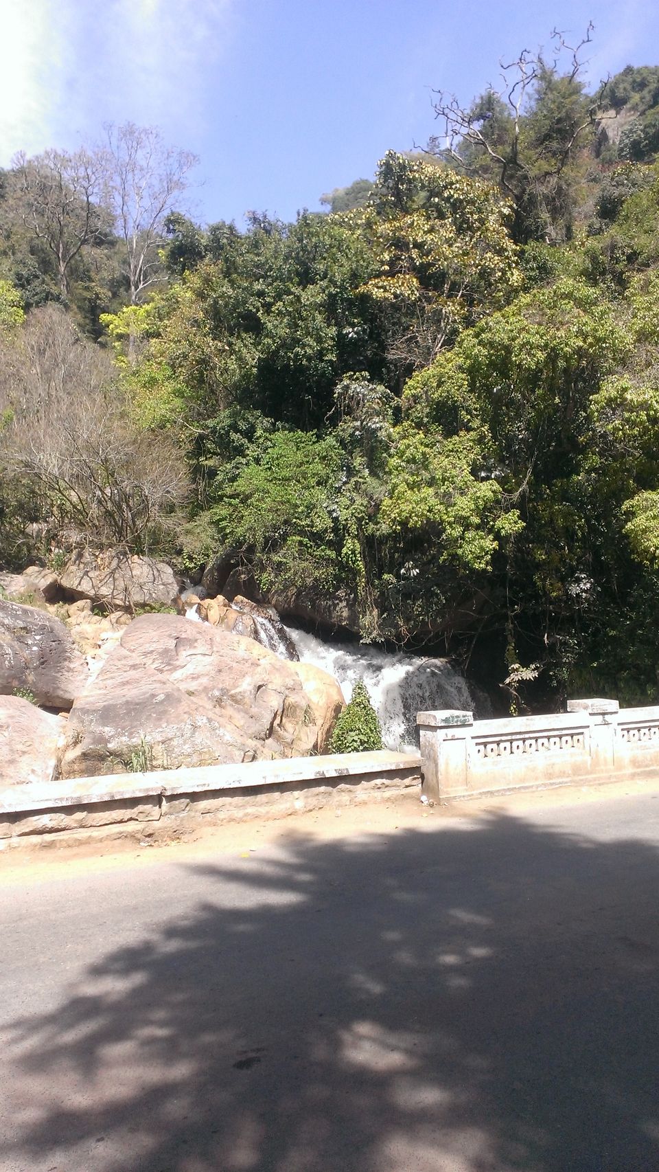 Photo of On nature's trail 5/17 by Hemalatha Raghupathi