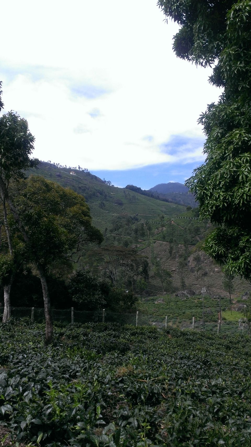 Photo of On nature's trail 14/17 by Hemalatha Raghupathi