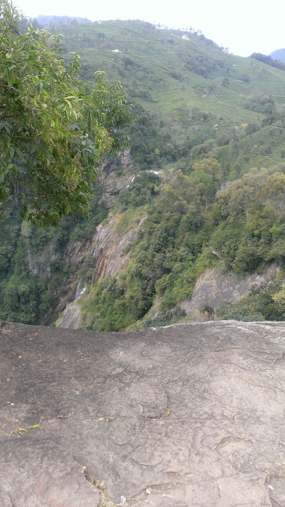 Photo of On nature's trail 17/17 by Hemalatha Raghupathi