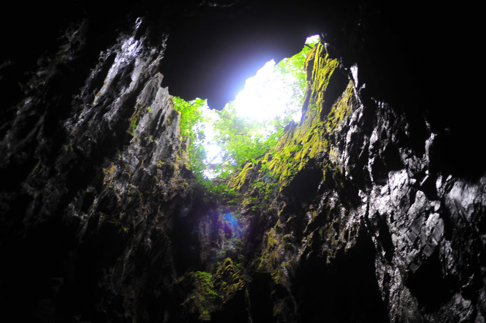 Photo of Gunung Mulu National Park Nansha Islands Malaysia by Shweta Apte