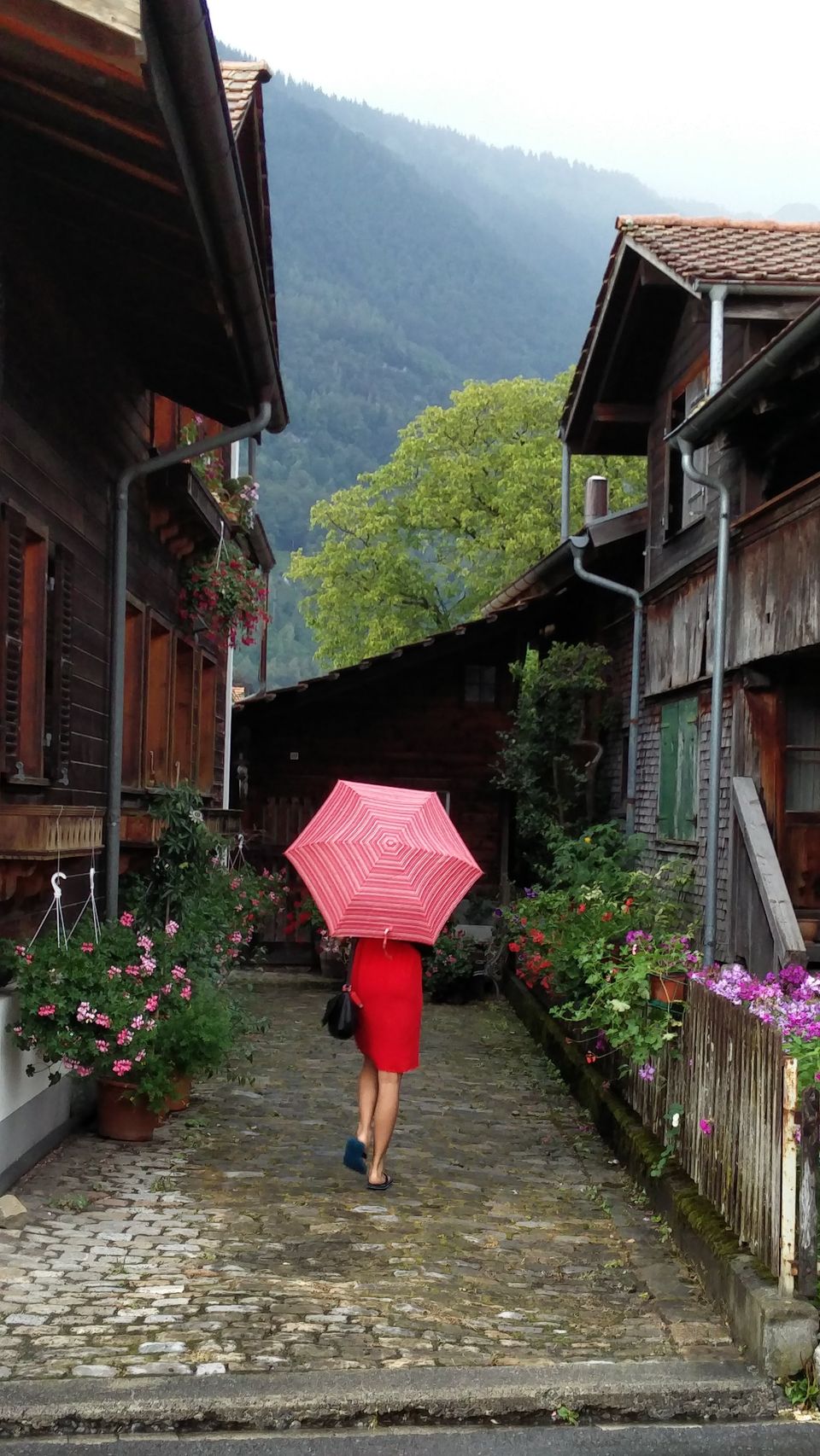 Photo of 10 Things to tick off your Bucket List when in Central Europe! 13/23 by Yamini Singh