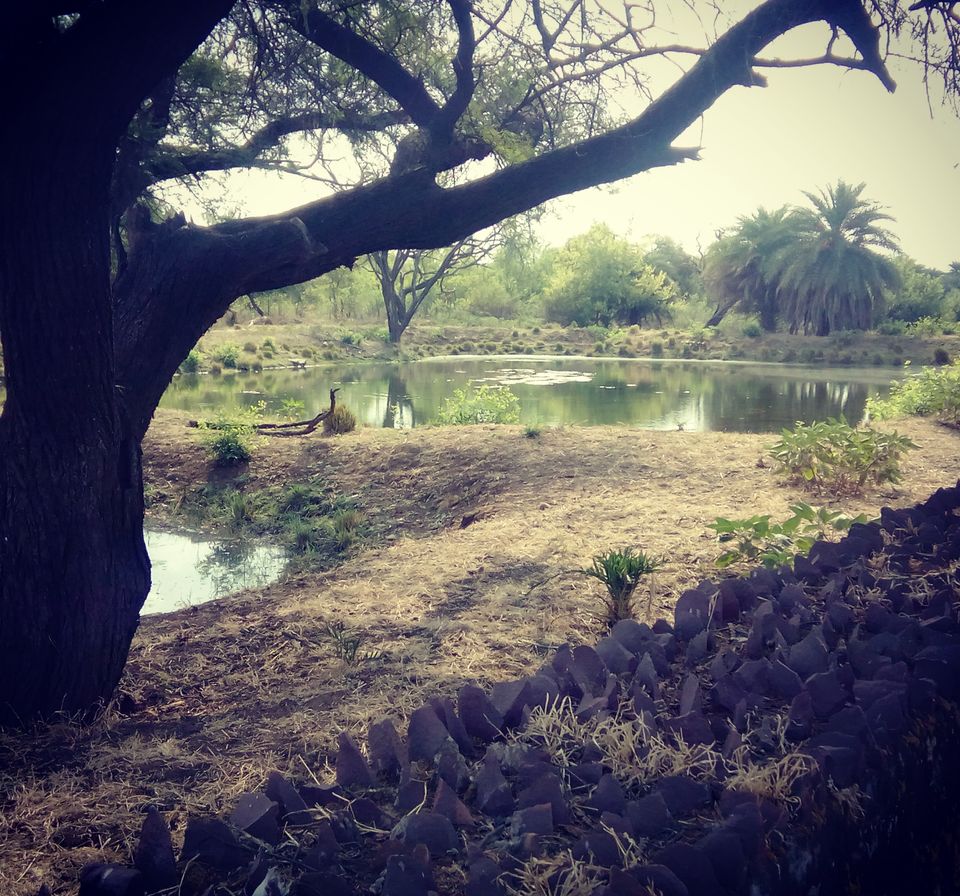 Photo of Madhya Pradesh- Heartland of India that can make you a travel buff even if you dont want 8/11 by Aditi Gyanesh