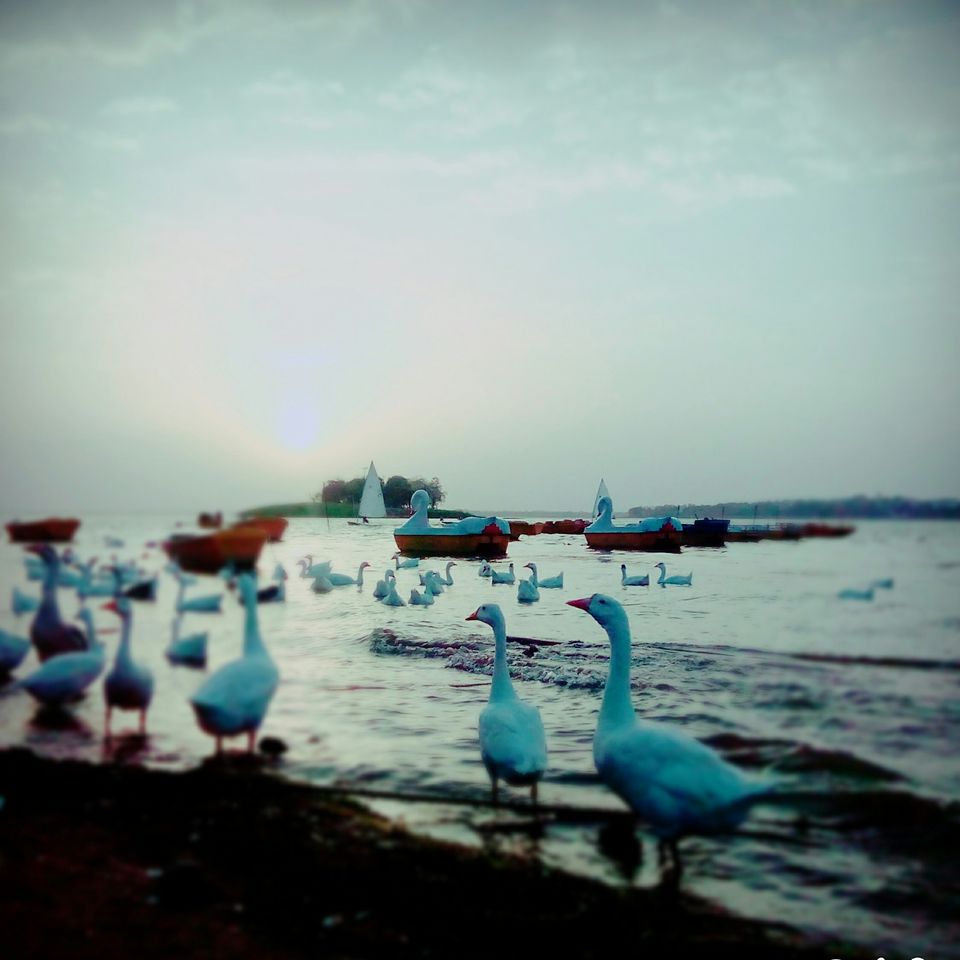 Photo of Madhya Pradesh- Heartland of India that can make you a travel buff even if you dont want 11/11 by Aditi Gyanesh