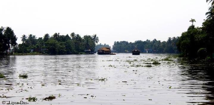 Photo of Kerala Diaries 2: The quintessential houseboat cruise – Worth it/ Not? 3/21 by Lipsa D