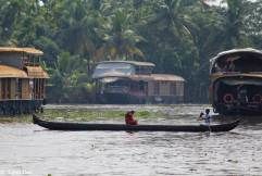 Photo of Kerala Diaries 2: The quintessential houseboat cruise – Worth it/ Not? 5/21 by Lipsa D