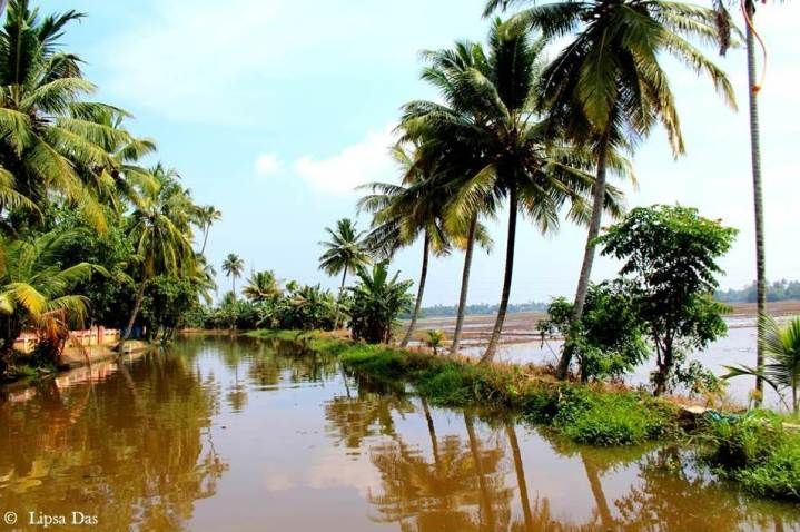 Photo of Kerala Diaries 2: The quintessential houseboat cruise – Worth it/ Not? 14/21 by Lipsa D