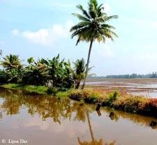 Photo of Kerala Diaries 2: The quintessential houseboat cruise – Worth it/ Not? 15/21 by Lipsa D