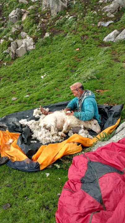 Photo of way from compassion to passion: McLeodganj to Triund. by Neha Gupta