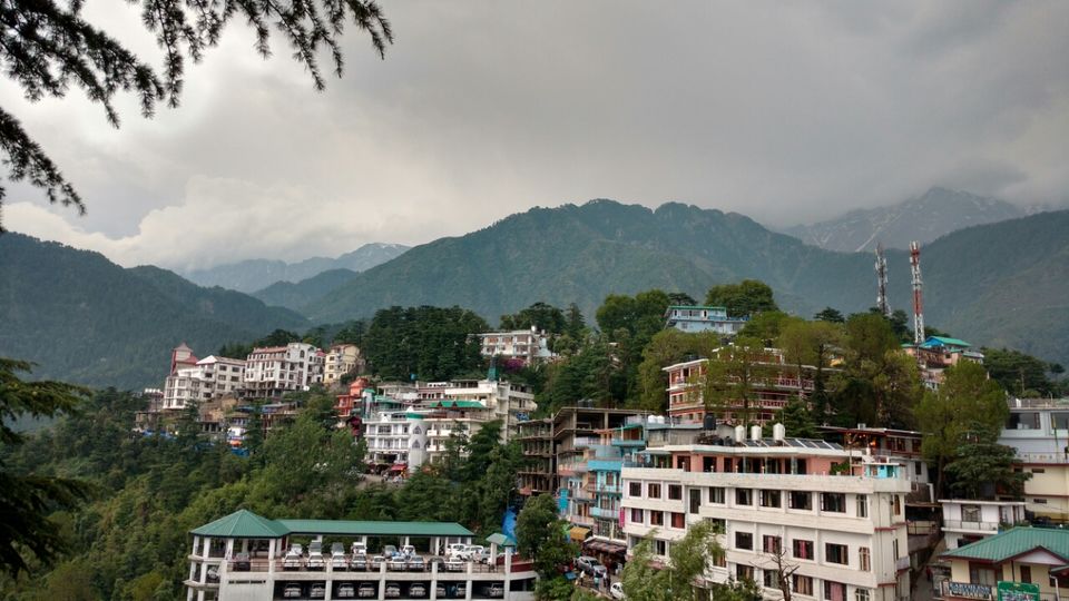 Photo of way from compassion to passion: McLeodganj to Triund. by Neha Gupta
