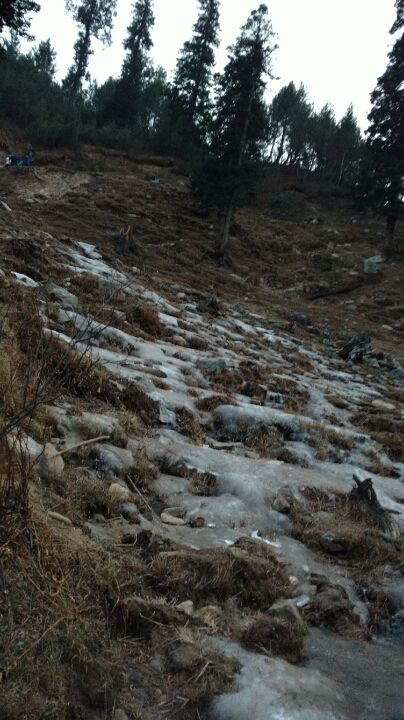 Photo of Flying into new year-from Baddi to Tosh via manali - solang-gulaba-bhunter-kasol-manikaran by Neha Gupta