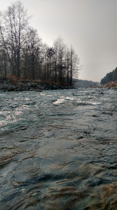 Photo of Flying into new year-from Baddi to Tosh via manali - solang-gulaba-bhunter-kasol-manikaran by Neha Gupta