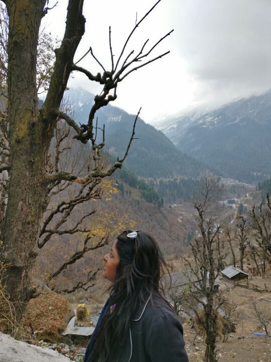 Photo of Flying into new year-from Baddi to Tosh via manali - solang-gulaba-bhunter-kasol-manikaran by Neha Gupta
