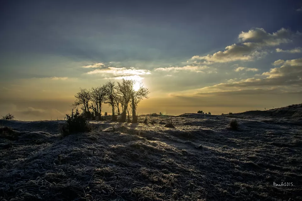 Photo of Singalila National Park by Himadri Sinha Roy