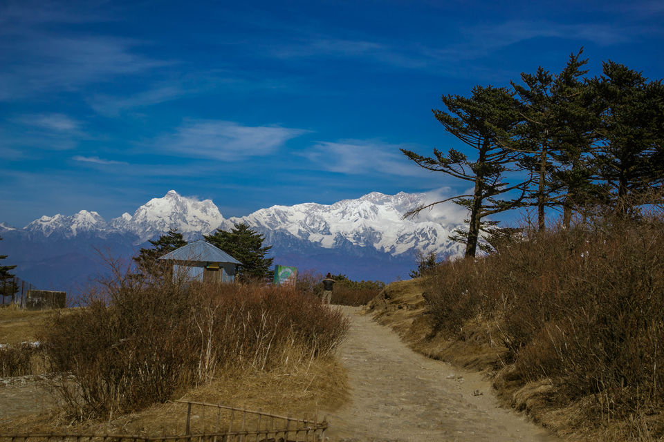 Photo of Sandakphu- Trekker's Paradise by Himadri Sinha Roy