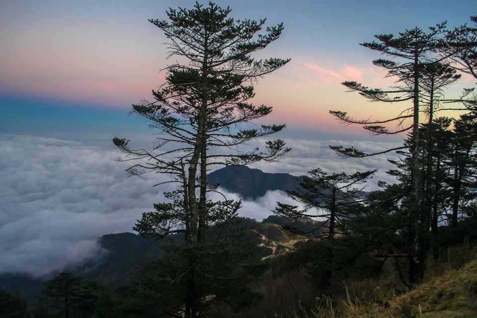 Photo of Sandakphu- Trekker's Paradise 7/8 by Himadri Sinha Roy